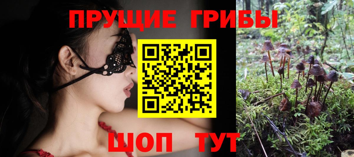 Галлюциногенные грибы MAGIC MUSHROOMS Тулун