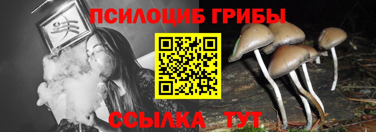 Псилоцибиновые грибы Psilocybine cubensis  Вход с VPN  Тулун 